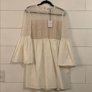 Endless Rose laced Dress